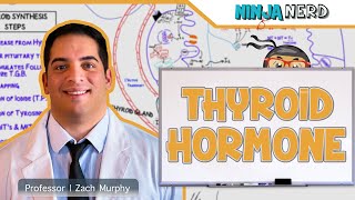 Hyperthyroid vs Hypothyroid Explained By Dr Berg [upl. by Antone]