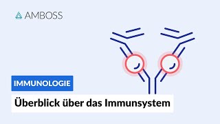 Überblick über das unspezifische und spezifische Immunsystem  Immunologie  AMBOSS Video [upl. by Ellehcsor]