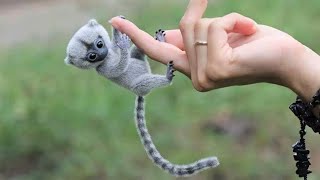 10 Cutest Exotic Animals In The World [upl. by Milicent]