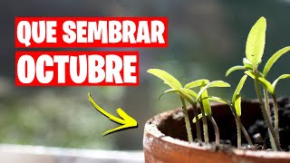 QUE SEMBRAR en OCTUBRE Calendario de Siembra  TAREAS  La Huerta de Ivan 🌱 [upl. by Loferski593]