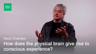 Hard Problem of Consciousness — David Chalmers [upl. by Eneleahcim]