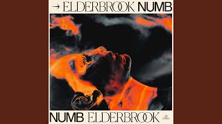 Numb Elderbrook VIP [upl. by Sobmalarah]