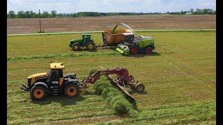 Making COW CHOW Wheat silage HARVEST 2020 [upl. by Sclater]