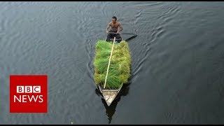 The Floating Farms of Bangladesh  BBC News [upl. by Trinetta]