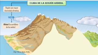 Geografía  CLIMAS DEL PERÚ  Profesor Hector Rojas [upl. by Yug]