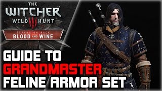 WITCHER 3 Grandmaster FELINE Armor Set GUIDE ► Diagrams Locations Crafting Stats Appearance [upl. by Letsyrk]