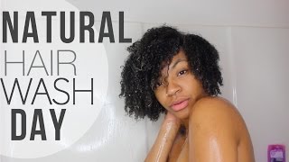 Natural Hair Wash Day  Glamazontay [upl. by Idissac374]