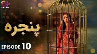 Pakistani Drama  Pinjra  Episode 10  Aplus Gold  Yumna Zaidi Nauman Aijaz  CZ1O [upl. by Ynavoeg]