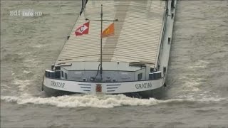 Doku Leben auf dem Fluss  Vom Rhein zur Donau HD [upl. by Jerrilee]