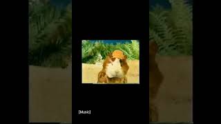 Wonder Pets Treehouse TV Promo [upl. by Standish]