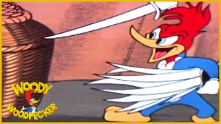 Woody Woodpecker  The Great  Old Cartoon  Woody Woodpecker Full Episodes  Videos for Kids [upl. by Aliza]