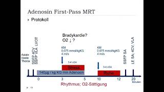 Stress Kardio MRT [upl. by Irved]