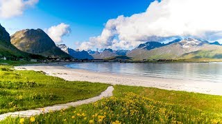 Uplifting Music  light positive happy music Gullrosøya  1 hour [upl. by Attela894]