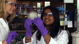 Career Spotlight Microbiologist [upl. by Dierdre]