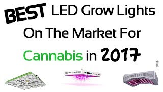 25 Best LED Grow Lights for Cannabis in 2017  Review and Guide for Indoor Gardening [upl. by Orose]