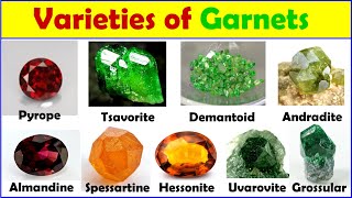 Varieties of garnets gemstones Pyrope Almandine Spessartine Demantoid Tsavorite [upl. by Ayhay447]