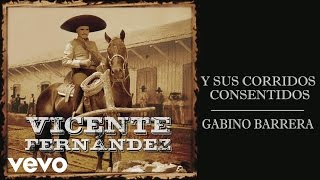 Vicente Fernández  Gabino Barrera Cover Audio [upl. by Osicran285]