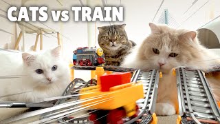 Cats vs TrainㅣKittisaurus [upl. by Joana]