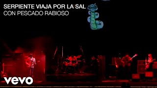 Luis Alberto Spinetta  Serpiente Viaja por la Sal En Vivo Estadio Vélez Sarsfield [upl. by Elexa24]