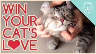 Speaking Cat 5 Ways to Show Your Cat You LOVE Them [upl. by Knowling]