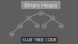 Binary Heap  Insert Sift Up Delete Sift Down HeapifyBuildHeap [upl. by Ky]