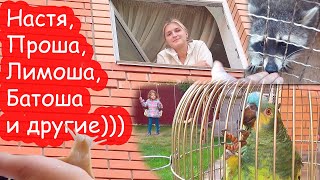 VLOG Начинаю разбирать вещи и делать уборку [upl. by Nemrak777]