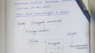 Biomedical Instrumentation Hemodialysis [upl. by Madelene478]