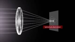 How Lenses Function [upl. by Honniball]