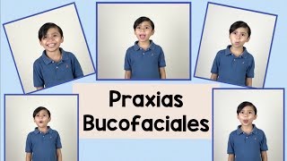 Praxias Bucofaciales  Lenguaje oral [upl. by Ludwog314]