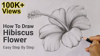 How To Draw Hibiscus Flower Easy Step By Step  Drawing Lesson 6  Pencil Sketch [upl. by Heppman]