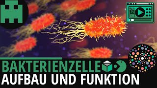 Bakterienzelle Aufbau │Biologie Lernvideo Learning Level Up [upl. by Annirac]