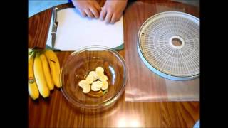 Honey Dipped Banana Chips on the Dehydrator [upl. by Imailiv]