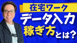 【在宅ワーク】データ入力って稼げるの？徹底解説 [upl. by Airdnaz]