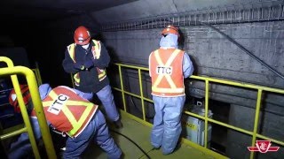 TTC weekend subway closures [upl. by Atteselrahc919]