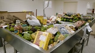 See What Really Happens To The Illegal Food Confiscated At US Customs [upl. by Yerot]