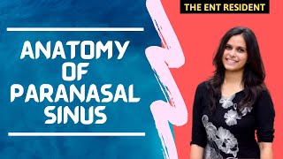 Anatomy of Paranasal Sinus [upl. by Htrahddis]