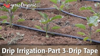 Drip IrrigationPart 3Using Drip Tape [upl. by Cheatham883]