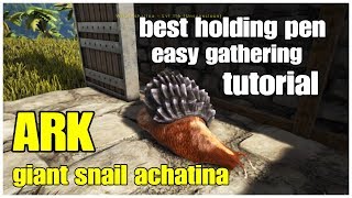 ARK Easy Resource Gathering Achatina Raised Holding Pen Giant Snail Cementing Paste [upl. by Sesom381]