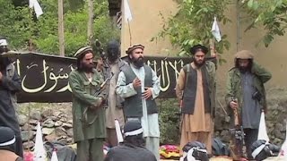 A look at Taliban group responsible for shooting Malala [upl. by Sirtaeb809]