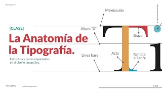 CLASE La Anatomía de la Tipografía [upl. by Renita]