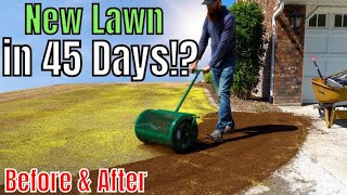 How to Plant a New Lawn with 4 Easy Steps [upl. by Heid]