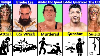 How WWE Superstars Died [upl. by Retepnhoj]