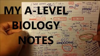 My Biology Notes  A Level  GCSE [upl. by Ingles]