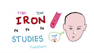 Iron Studies  Serum Fe TIBC ferritin amp Transferrin  Saturation [upl. by Haldes]