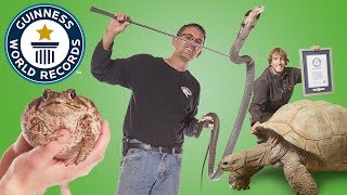 Largest Reptile Zoo  Guinness World Records [upl. by Sucramej239]