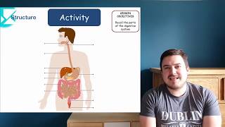 How does the digestive system work KS3 Science [upl. by Vassaux638]