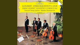 Schubert String Quintet in C Major D 956  II Adagio [upl. by Anders840]