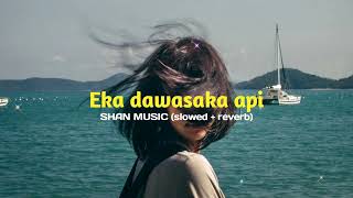 Eka dawasaka api  SHAN MUSIC slowed  reverb [upl. by Eidlog170]