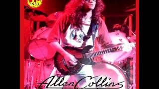 Allen Collins Band  Everything You Need [upl. by Lraep]