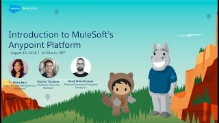 Introduction to MuleSoft Anypoint Platform [upl. by Anirtruc]